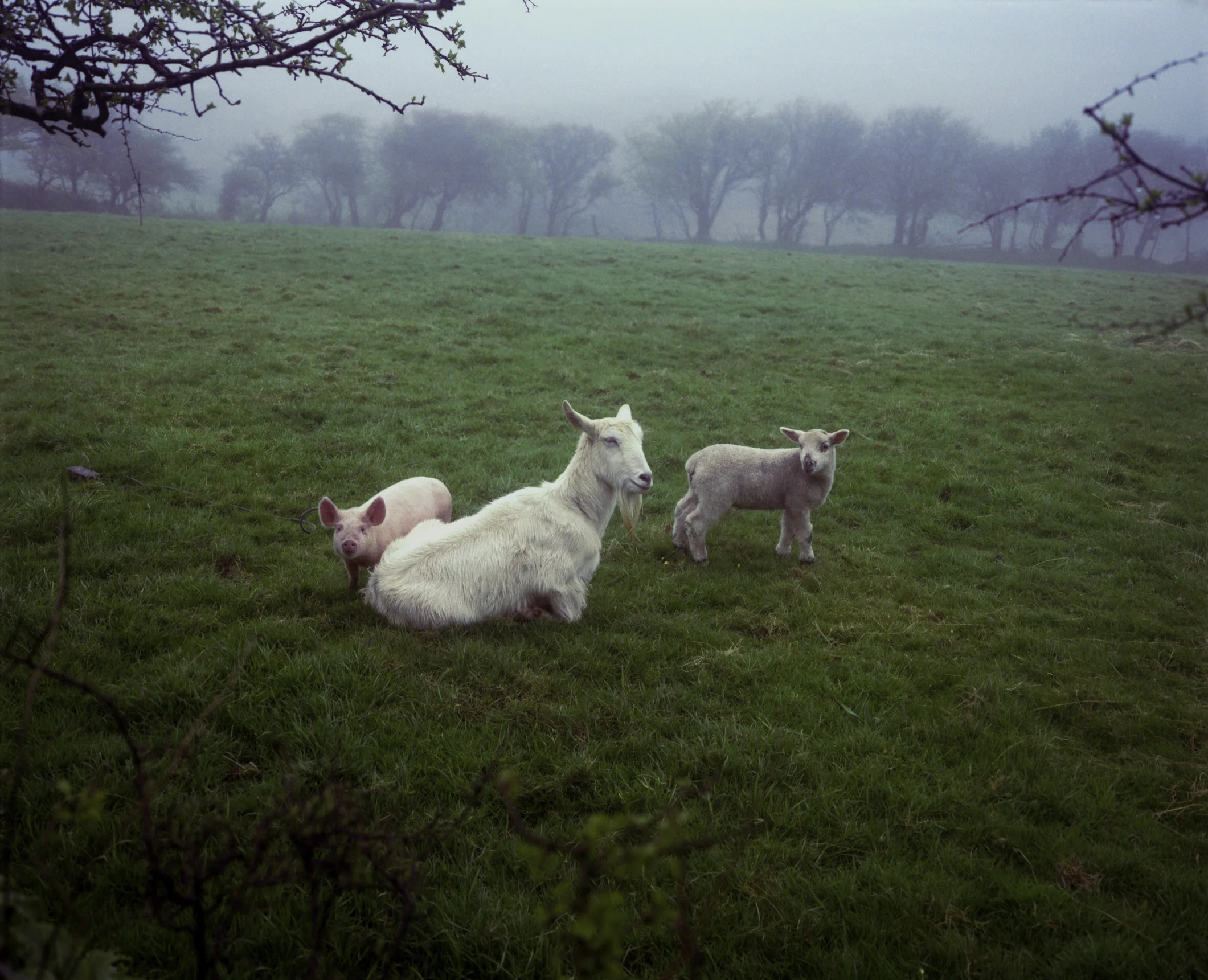 Jem Southam — Photobook / NZ